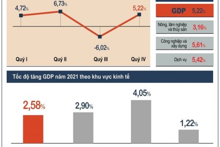 INFOGRAPHIC: Tình hình kinh tế – xã hội Quý IV và năm 2021